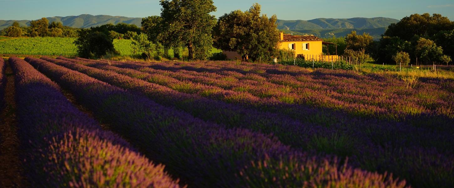 Provence